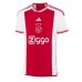 Ajax Steven Berghuis #23 Hjemmebanetrøje 2023-24 Kort ærmer